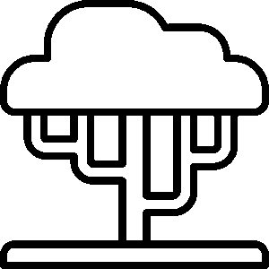 acacia SVG PNG LOGO CLIPART Vectors Images Hd Icons Graphics.